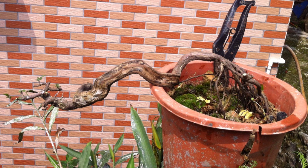 QQͼƬ20140428144259.jpg