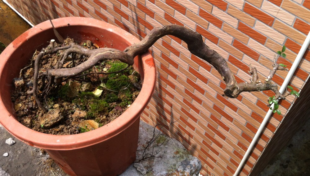 QQͼƬ20140428144355.jpg