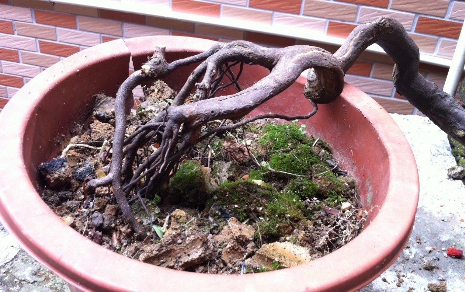 QQͼƬ20140428144445.jpg