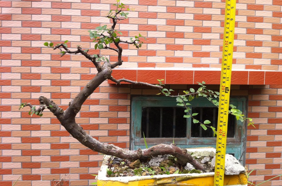 QQͼƬ20140428164449.jpg