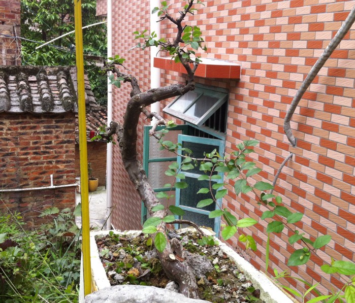 QQͼƬ20140428164526.jpg