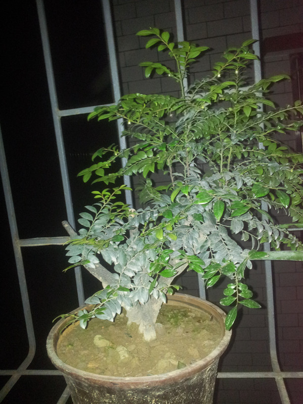 20140427_211629_.jpg