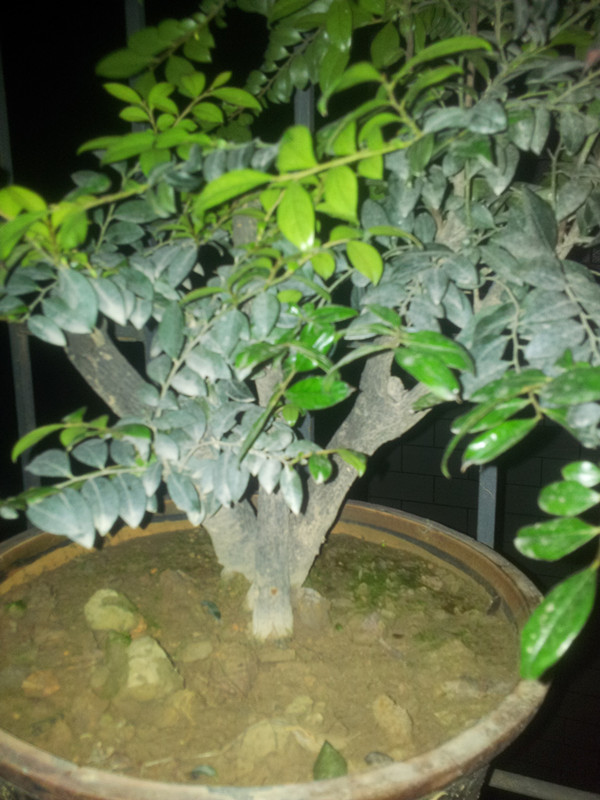 20140427_211643_.jpg