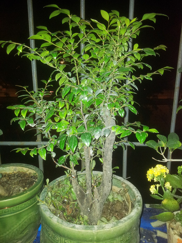 20140427_214113_.jpg