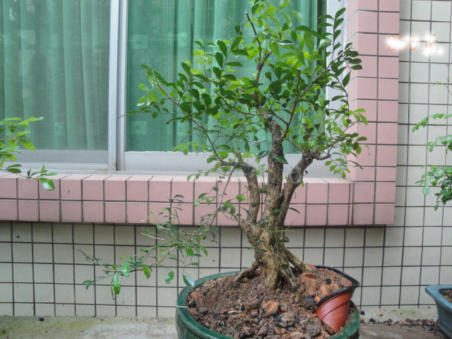 DSC05875-2.jpg