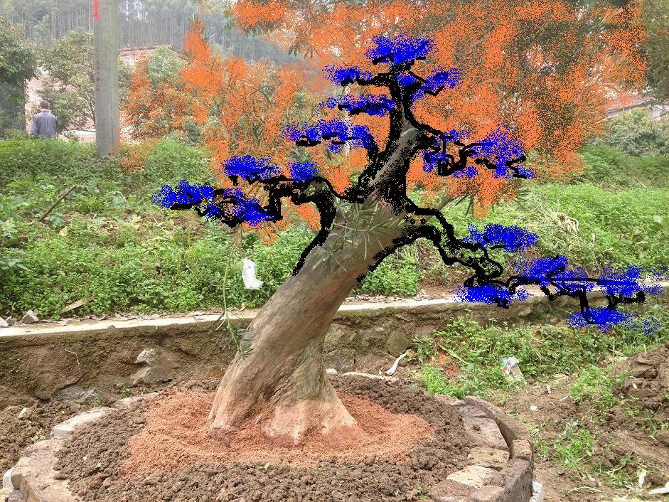 ڼ޽