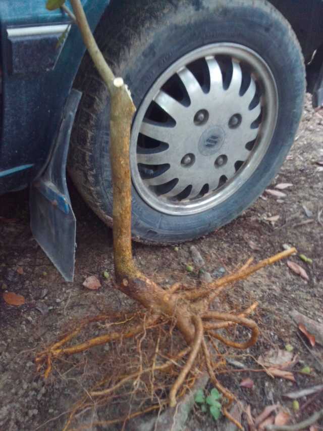 mmexport1398748796034.jpg