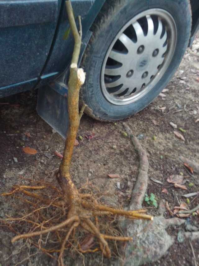 mmexport1398748788460.jpg