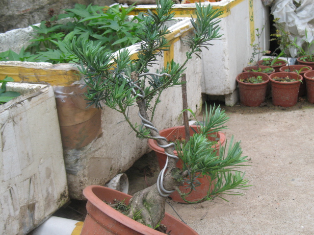 IMG_8370.JPG