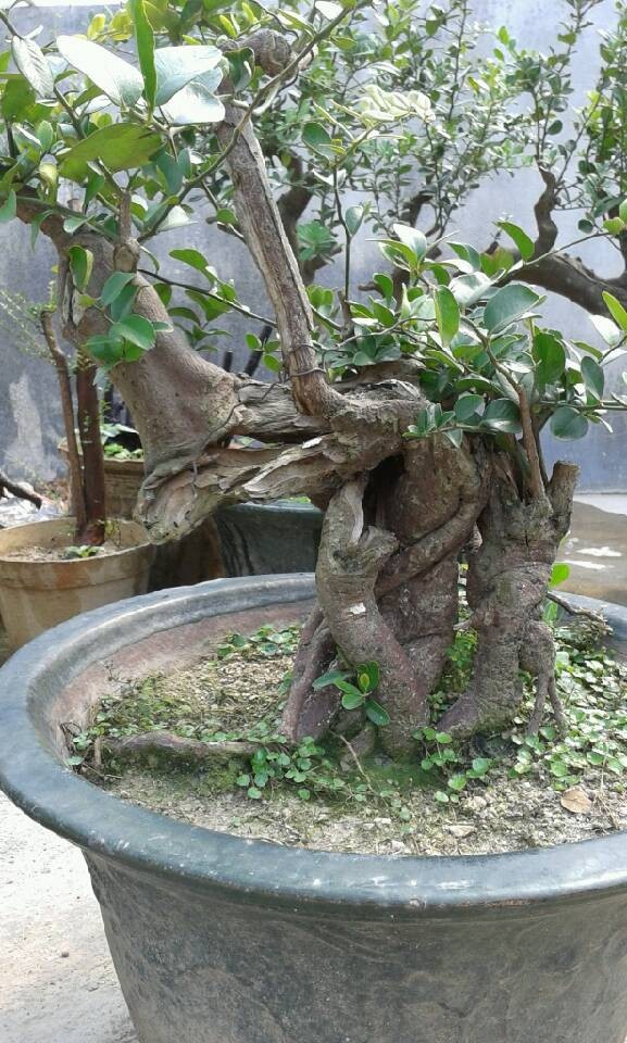 QQͼƬ20140430095458.jpg