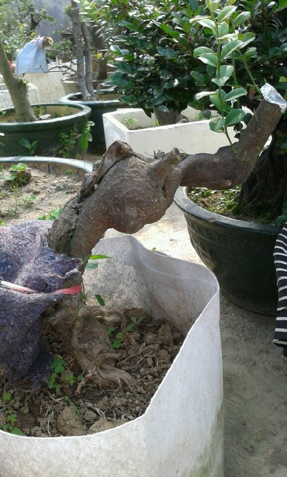 QQͼƬ20140430095503.jpg