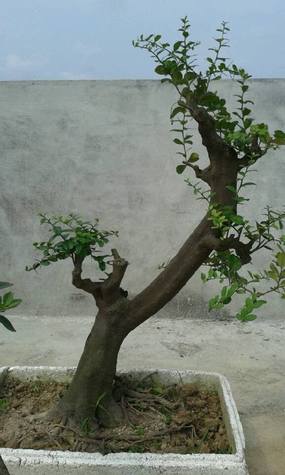 QQͼƬ20140430095510.jpg