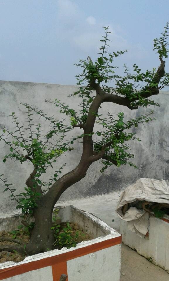QQͼƬ20140430095514.jpg