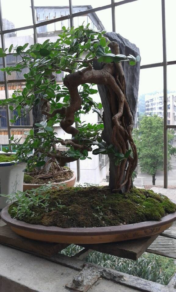 QQͼƬ20140430095601.jpg