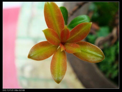 QQͼƬ20140430160254.jpg