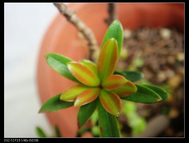 QQͼƬ20140430160319.jpg