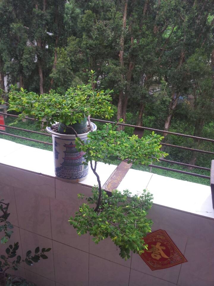 QQͼƬ20140430210702.jpg