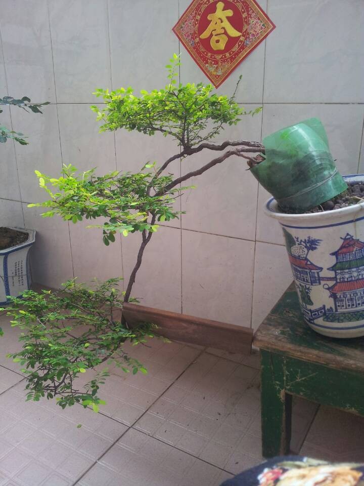 QQͼƬ20140430205943.jpg