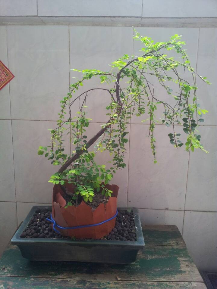 QQͼƬ20140430205951.jpg