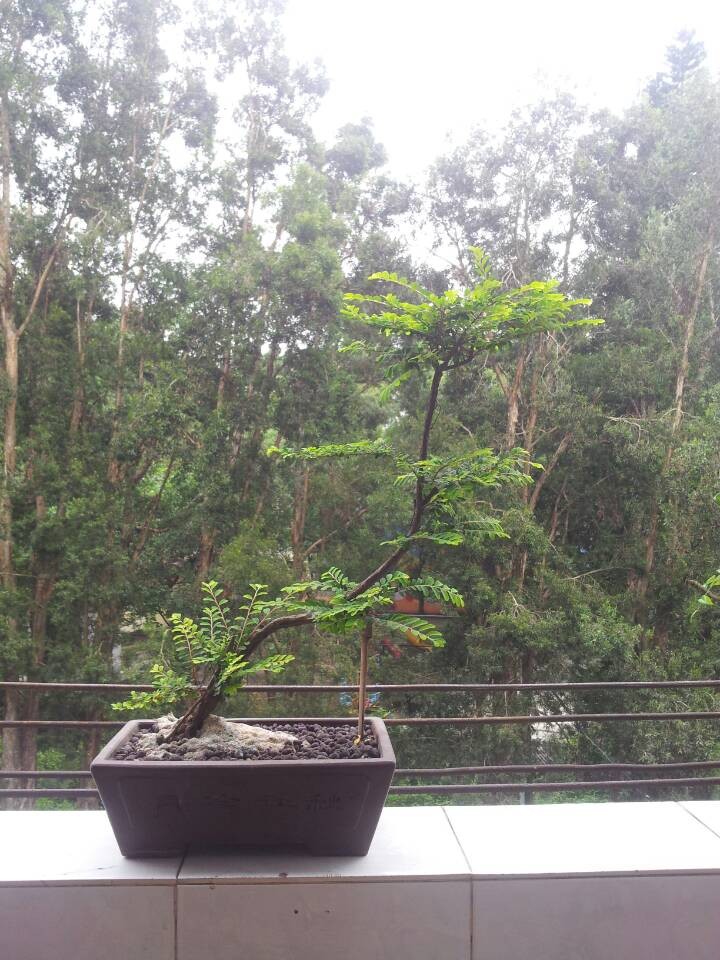 QQͼƬ20140430210735.jpg