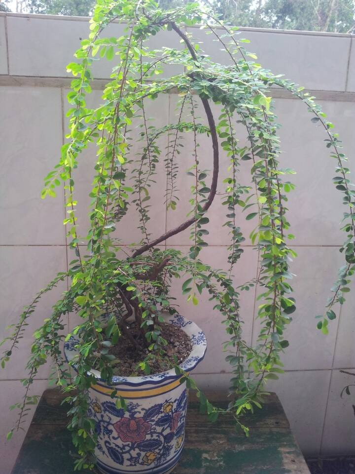 QQͼƬ20140430205957.jpg