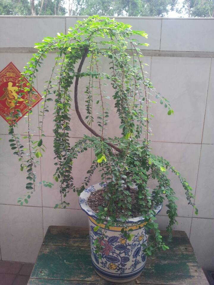 QQͼƬ20140430210026.jpg