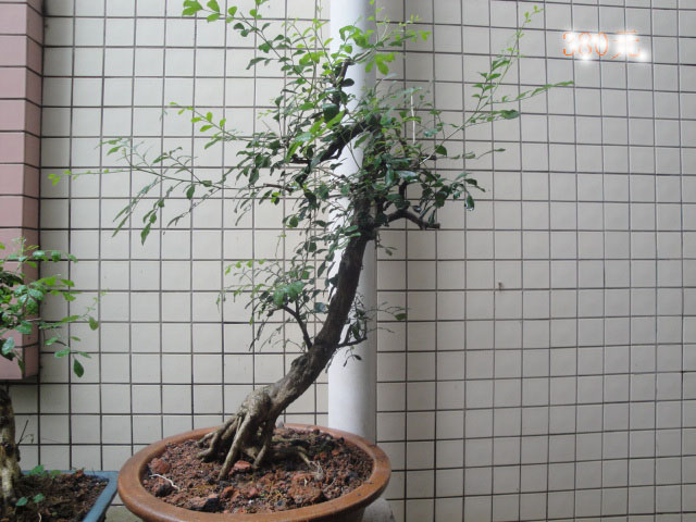 DSC05878-2.jpg