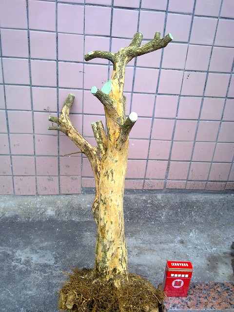 01098.jpg