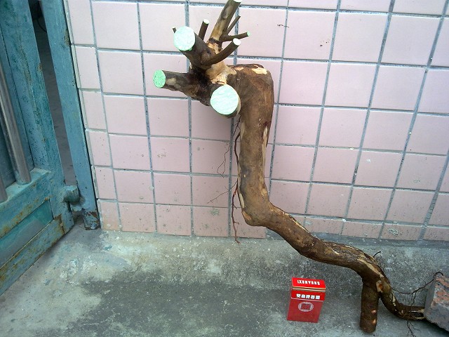 01094.jpg