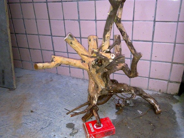 01082.jpg
