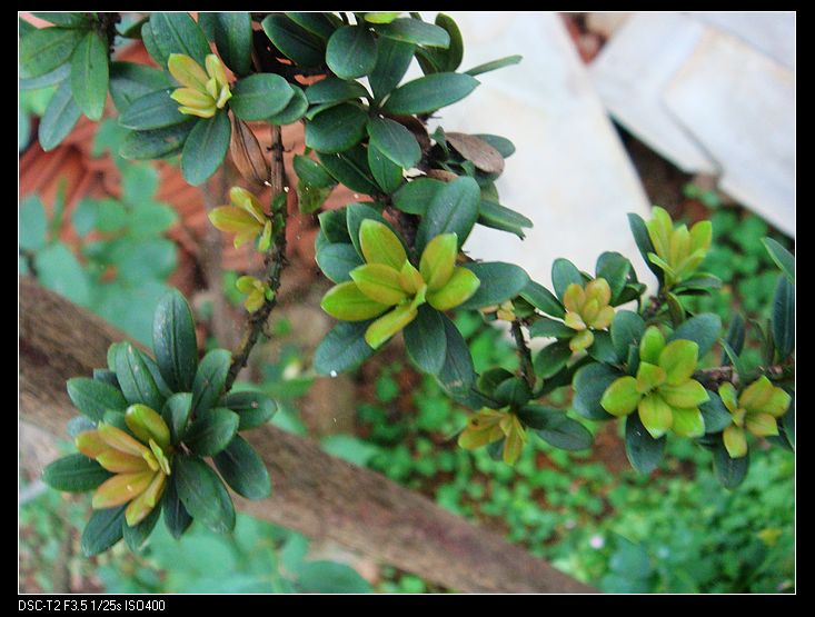 nEO_IMG_DSC02828.jpg