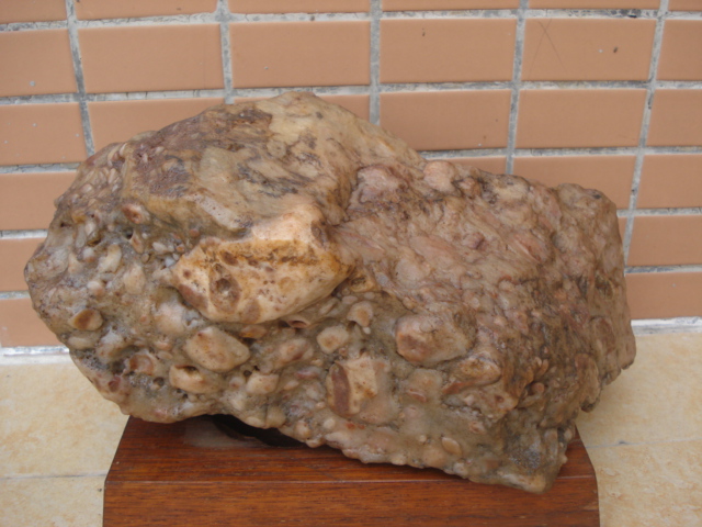 DSC01709.JPG