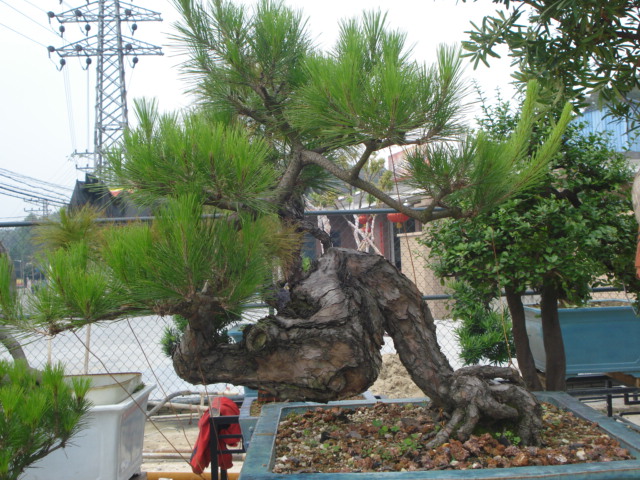DSC01788.JPG
