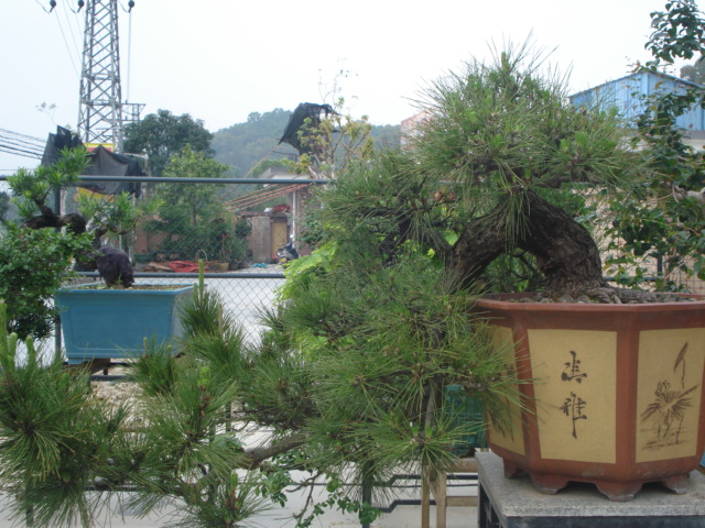 DSC01789.JPG