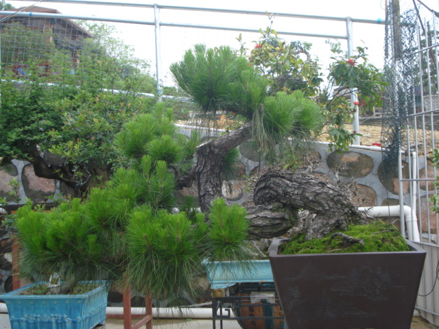 DSC01784.JPG