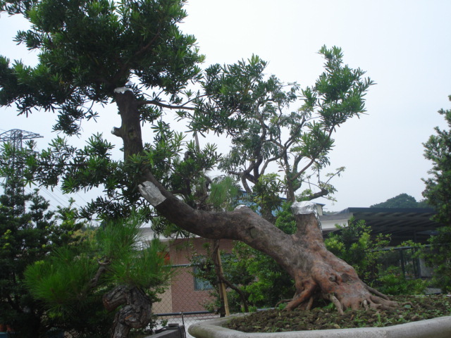 DSC01792.JPG
