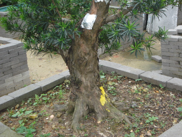 DSC01799.JPG