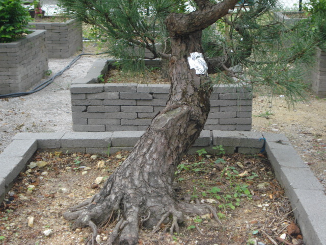 DSC01798.JPG
