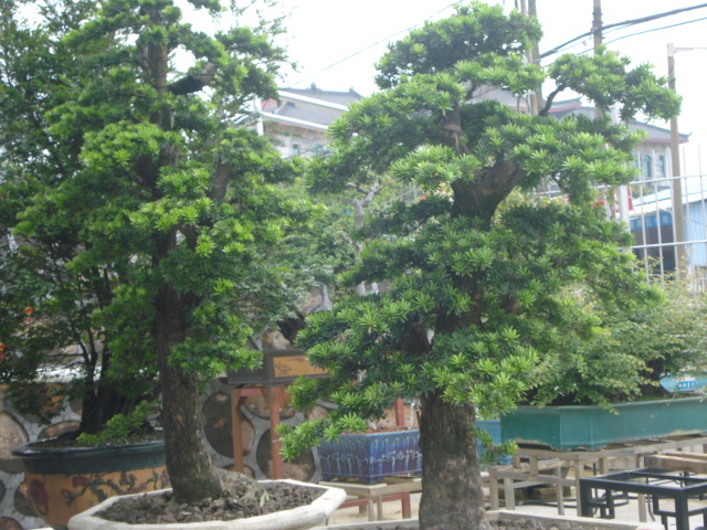 DSC01805.JPG