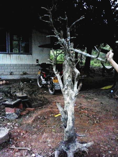 20140426_190952_.jpg