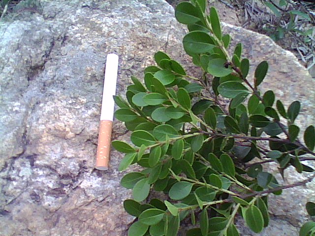 DSC_0000159.jpg