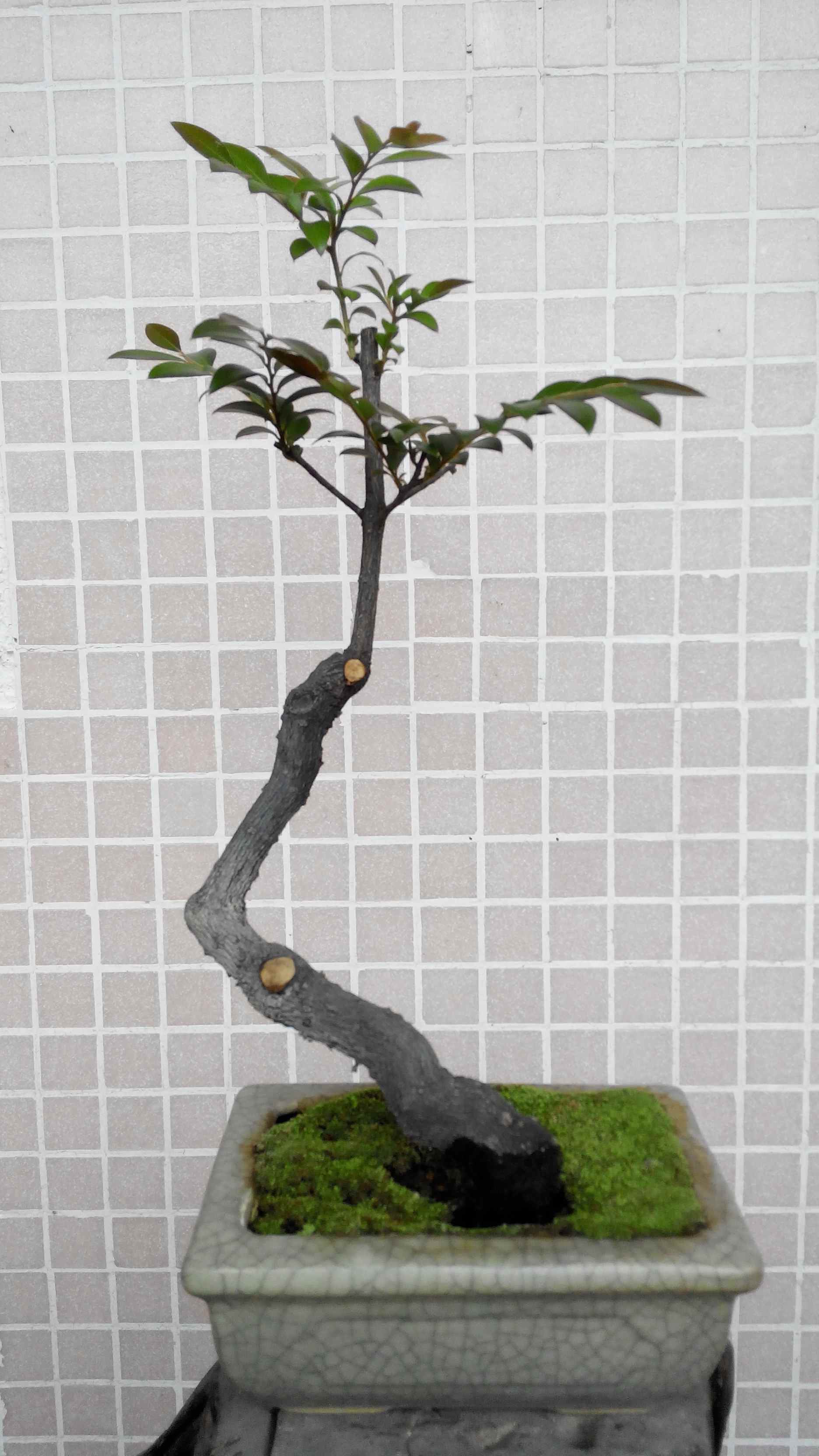 2014502175425_.jpg