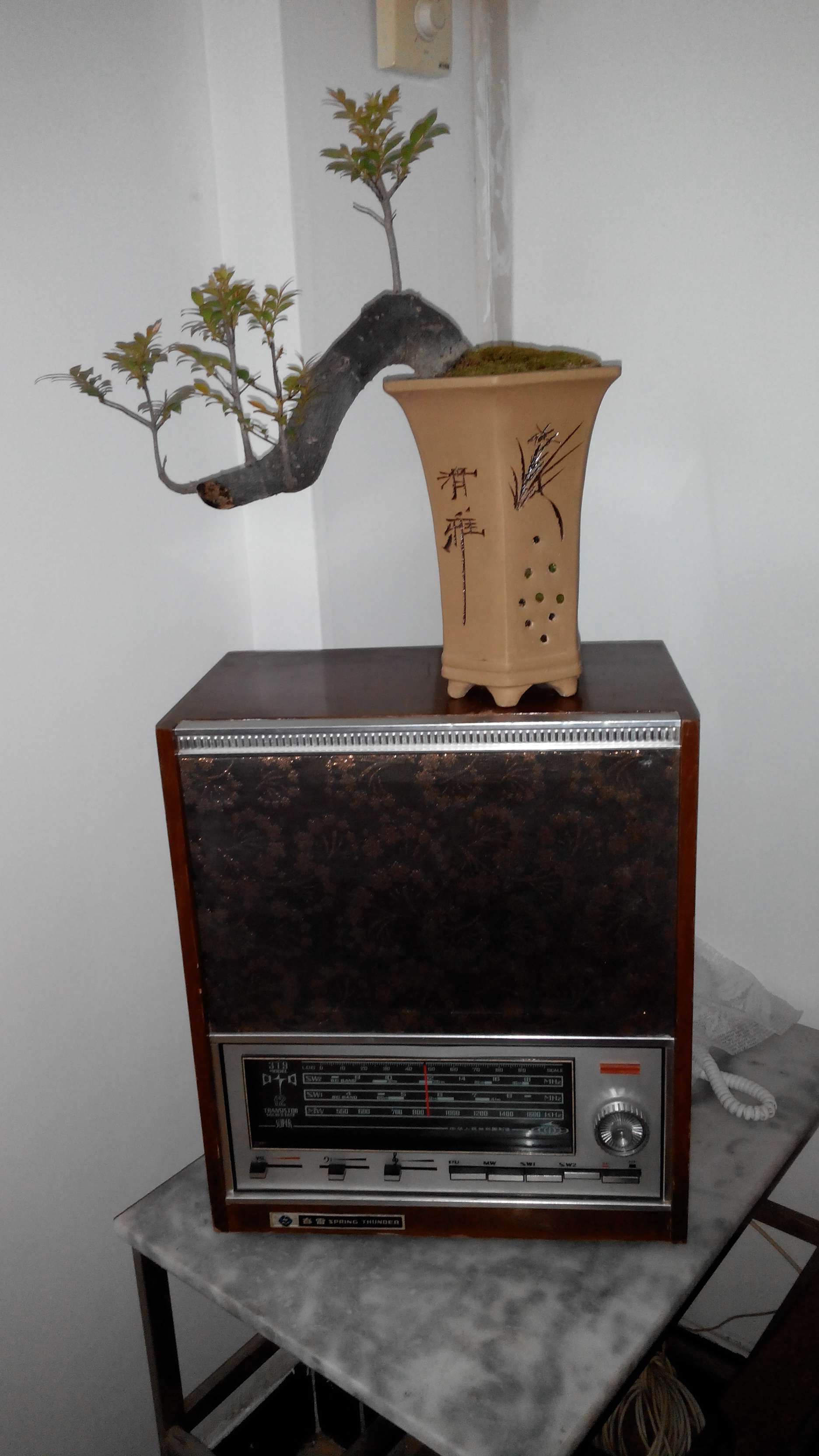 2014503191317_.jpg