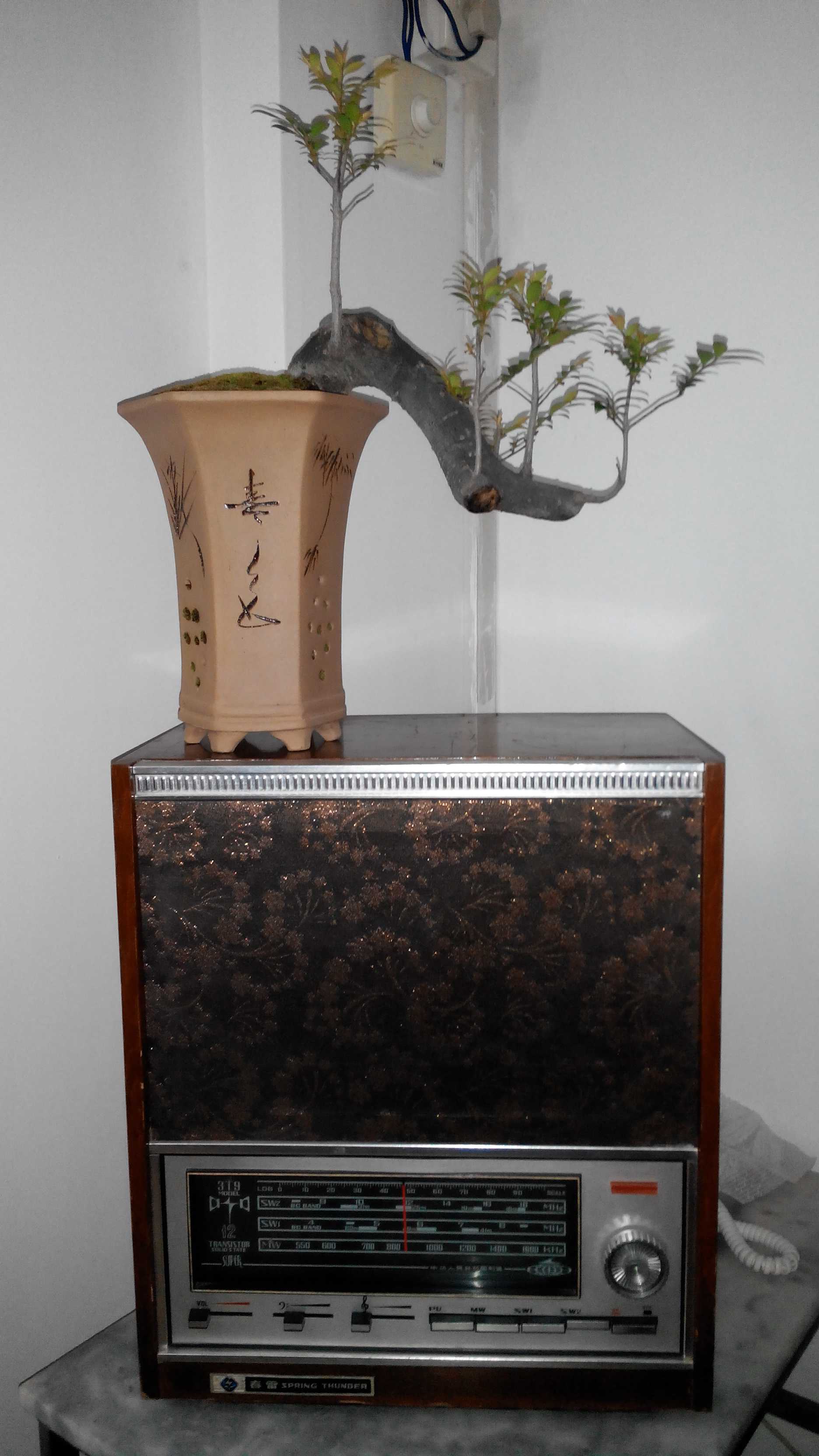 2014503191538_.jpg