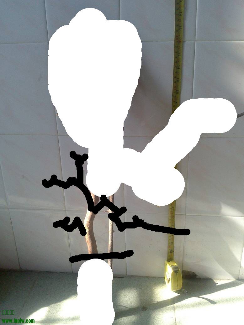 142022u3uz33oxgx3mu37z.jpg.thumb.jpg