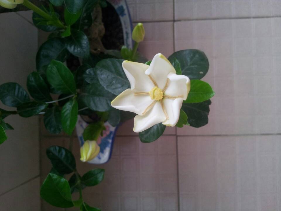 QQͼƬ20140504204256.jpg
