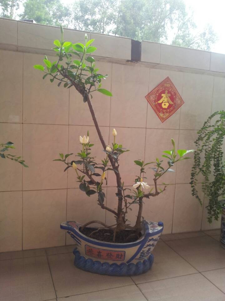 QQͼƬ20140504204302.jpg