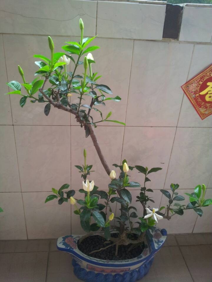 QQͼƬ20140504204308.jpg