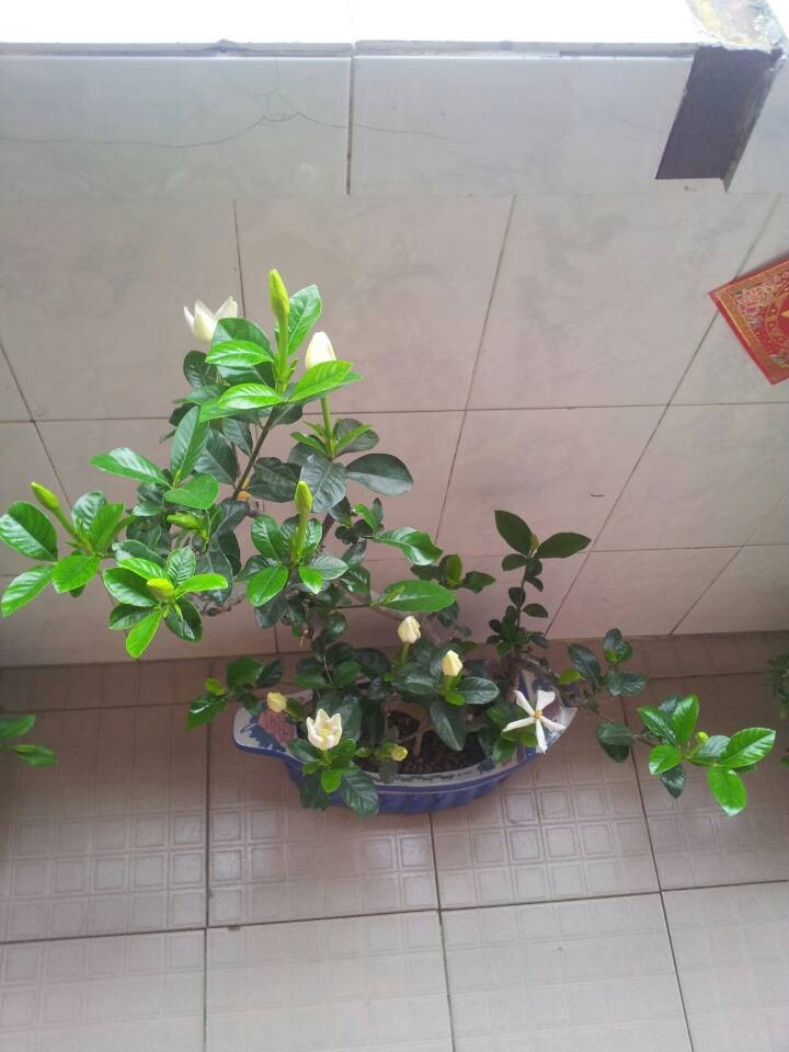 QQͼƬ20140504204055.jpg