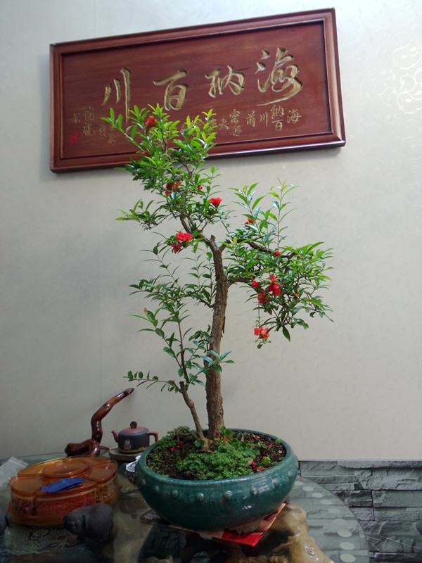 100_1906.JPG